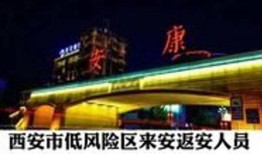 西安晚安爆料新闻最新,揭秘某神秘项目背后真相